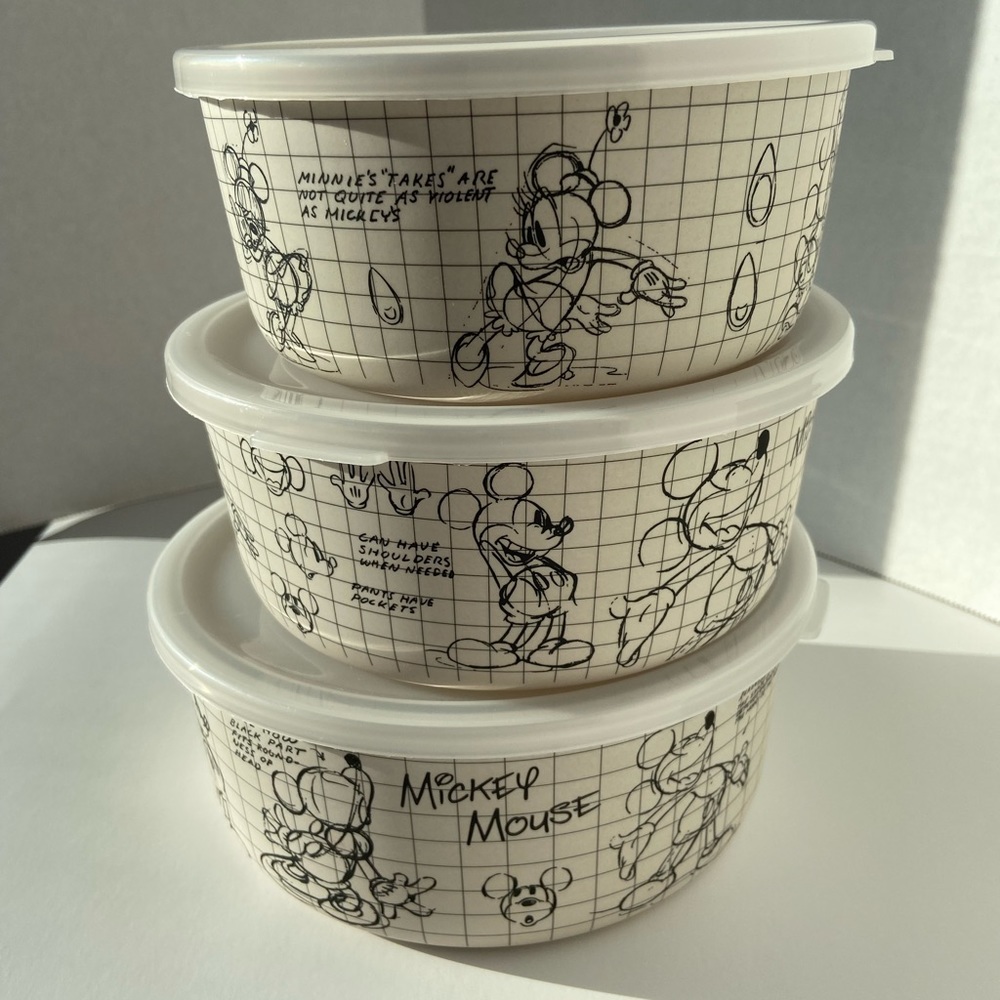 Disney Storage containers